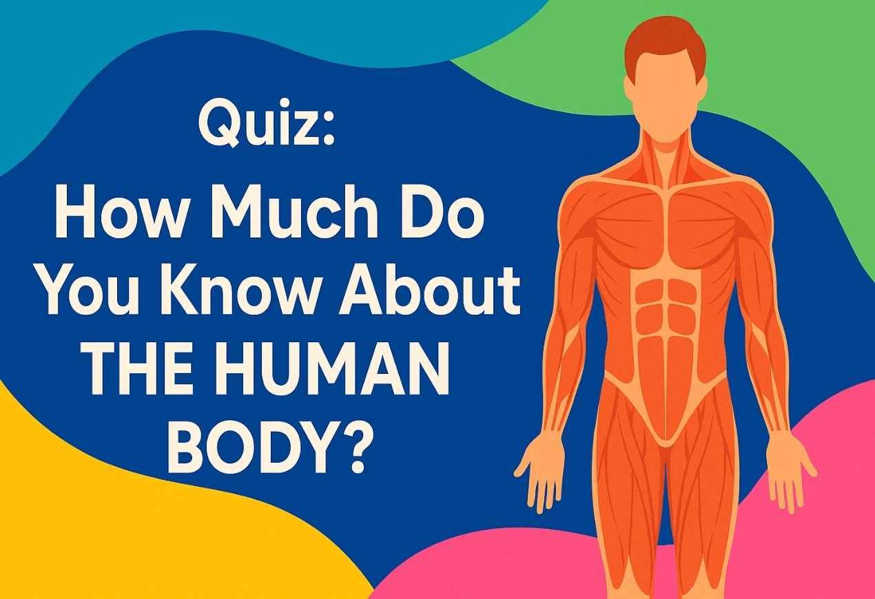 Human Body Quiz Trivia